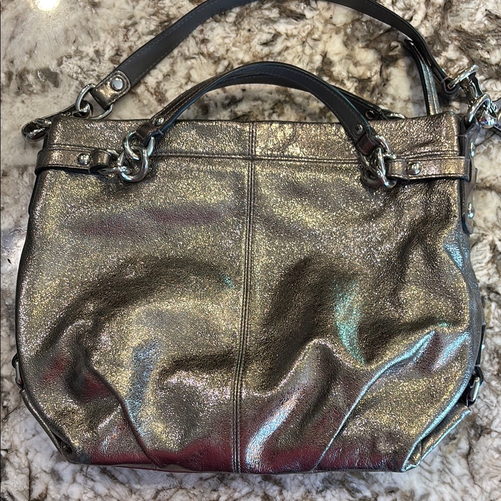 Metallic Silver Women's Bag